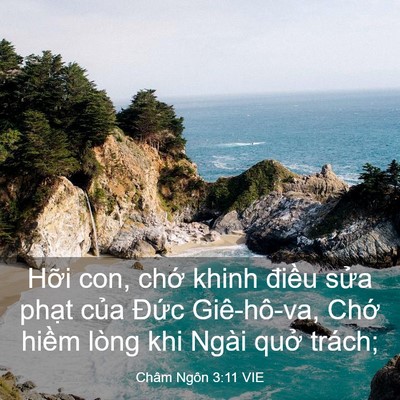 Picture 03 - Châm Ngôn 3:11 VIE - Hỡi con, chớ khinh điều sửa phạt của - Bible Verse Picture