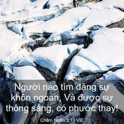 Picture 03 - Châm Ngôn 3:13 VIE - Người nào tìm đặng sự khôn ngoan, Và - Bible Verse Picture