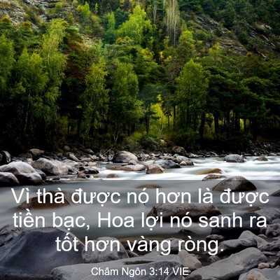 Picture 03 - Châm Ngôn 3:14 VIE - Vì thà được nó hơn là được tiền - Bible Verse Picture