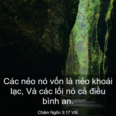 Picture 03 - Châm Ngôn 3:17 VIE - Các nẻo nó vốn là nẻo khoái lạc, Và - Bible Verse Picture