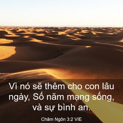 Picture 03 - Châm Ngôn 3:2 VIE - Vì nó sẽ thêm cho con lâu ngày, Số năm - Bible Verse Picture