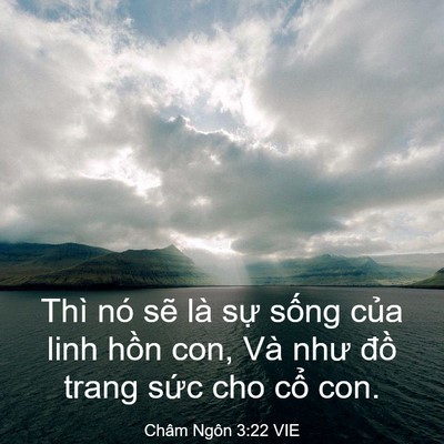 Picture 03 - Châm Ngôn 3:22 VIE - Thì nó sẽ là sự sống của linh hồn - Bible Verse Picture