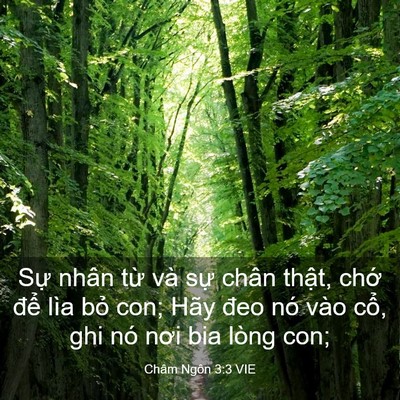 Picture 03 - Châm Ngôn 3:3 VIE - Sự nhân từ và sự chân thật, chớ - Bible Verse Picture