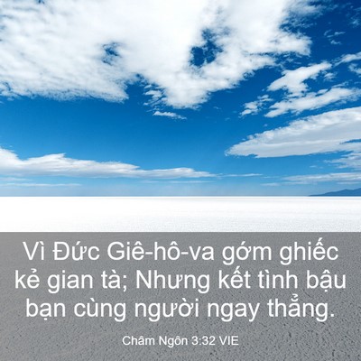 Picture 03 - Châm Ngôn 3:32 VIE - Vì Đức Giê-hô-va gớm ghiếc kẻ gian - Bible Verse Picture