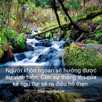 Picture 03 - Châm Ngôn 3:35 VIE - Người khôn ngoan sẽ hưởng được sự - Bible Verse Picture