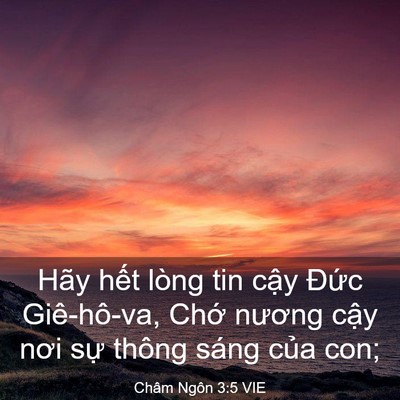 Picture 03 - Châm Ngôn 3:5 VIE - Hãy hết lòng tin cậy Đức Giê-hô-va, - Bible Verse Picture