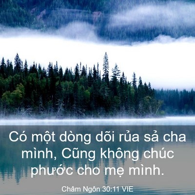 Picture 03 - Châm Ngôn 30:11 VIE - Có một dòng dõi rủa sả cha mình, Cũng - Bible Verse Picture