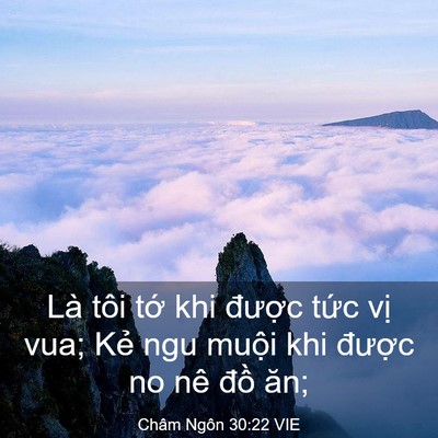 Picture 03 - Châm Ngôn 30:22 VIE - Là tôi tớ khi được tức vị vua; Kẻ - Bible Verse Picture