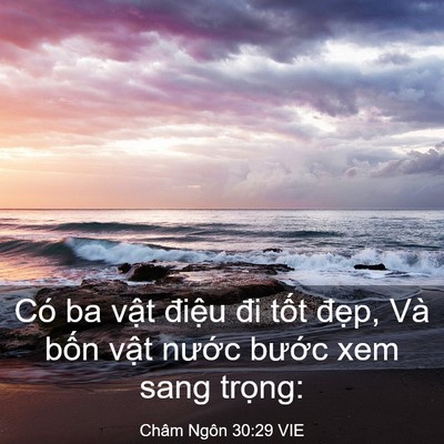 Picture 03 - Châm Ngôn 30:29 VIE - Có ba vật điệu đi tốt đẹp, Và bốn - Bible Verse Picture