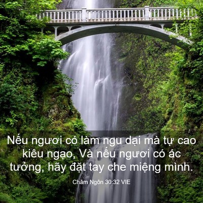 Picture 03 - Châm Ngôn 30:32 VIE - Nếu ngươi có làm ngu dại mà tự cao - Bible Verse Picture
