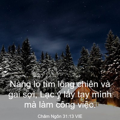 Picture 03 - Châm Ngôn 31:13 VIE - Nàng lo tìm lông chiên và gai sợi, Lạc - Bible Verse Picture