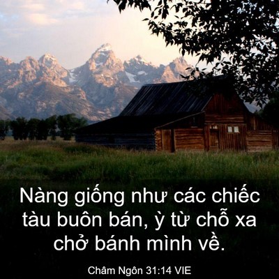 Picture 03 - Châm Ngôn 31:14 VIE - Nàng giống như các chiếc tàu buôn bán, - Bible Verse Picture