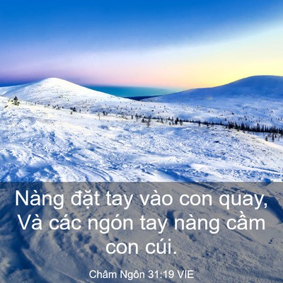 Picture 03 - Châm Ngôn 31:19 VIE - Nàng đặt tay vào con quay, Và các ngón - Bible Verse Picture
