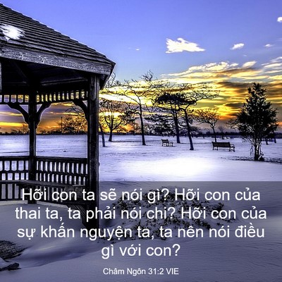Picture 03 - Châm Ngôn 31:2 VIE - Hỡi con ta sẽ nói gì? Hỡi con của thai - Bible Verse Picture