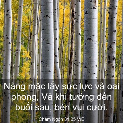 Picture 03 - Châm Ngôn 31:25 VIE - Nàng mặc lấy sức lực và oai phong, Và - Bible Verse Picture