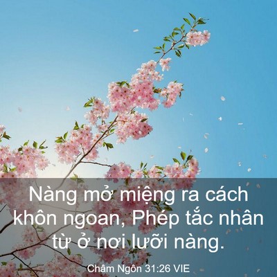 Picture 03 - Châm Ngôn 31:26 VIE - Nàng mở miệng ra cách khôn ngoan, Phép - Bible Verse Picture