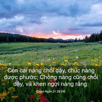 Picture 03 - Châm Ngôn 31:28 VIE - Con cái nàng chổi dậy, chúc nàng được - Bible Verse Picture