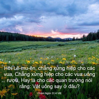 Picture 03 - Châm Ngôn 31:4 VIE - Hỡi Lê-mu-ên, chẳng xứng hiệp cho các - Bible Verse Picture