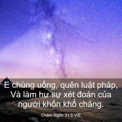 Picture 03 - Châm Ngôn 31:5 VIE - E chúng uống, quên luật pháp, Và làm hư - Bible Verse Picture