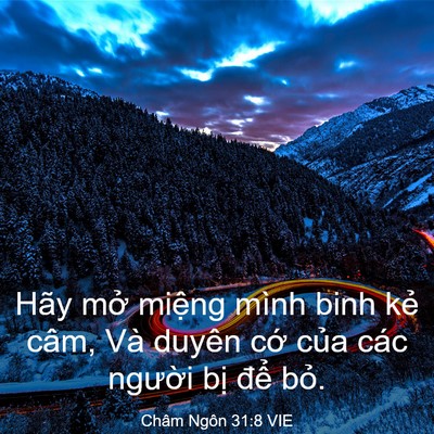 Picture 03 - Châm Ngôn 31:8 VIE - Hãy mở miệng mình binh kẻ câm, Và - Bible Verse Picture