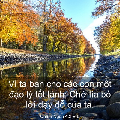 Picture 03 - Châm Ngôn 4:2 VIE - Vì ta ban cho các con một đạo lý tốt - Bible Verse Picture