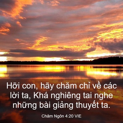 Picture 03 - Châm Ngôn 4:20 VIE - Hỡi con, hãy chăm chỉ về các lời ta, - Bible Verse Picture