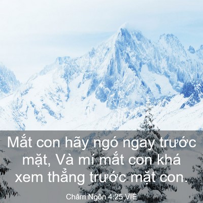 Picture 03 - Châm Ngôn 4:25 VIE - Mắt con hãy ngó ngay trước mặt, Và mí - Bible Verse Picture