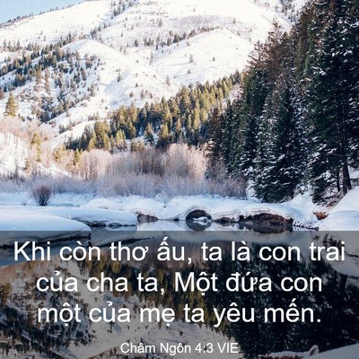 Picture 03 - Châm Ngôn 4:3 VIE - Khi còn thơ ấu, ta là con trai của cha ta, - Bible Verse Picture