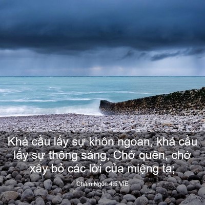 Picture 03 - Châm Ngôn 4:5 VIE - Khá cầu lấy sự khôn ngoan, khá cầu - Bible Verse Picture