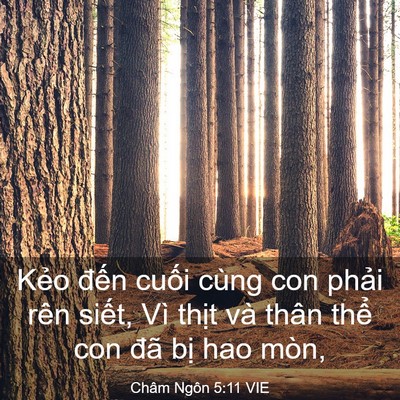 Picture 03 - Châm Ngôn 5:11 VIE - Kẻo đến cuối cùng con phải rên siết, - Bible Verse Picture