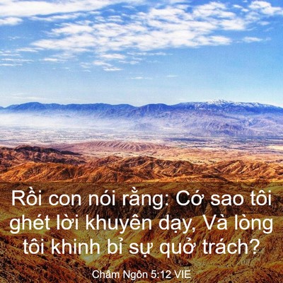 Picture 03 - Châm Ngôn 5:12 VIE - Rồi con nói rằng: Cớ sao tôi ghét lời - Bible Verse Picture
