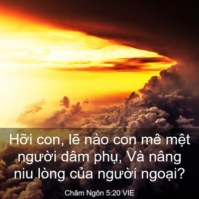 Picture 03 - Châm Ngôn 5:20 VIE - Hỡi con, lẽ nào con mê mệt người dâm - Bible Verse Picture