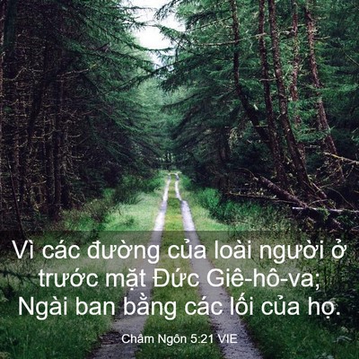 Picture 03 - Châm Ngôn 5:21 VIE - Vì các đường của loài người ở - Bible Verse Picture
