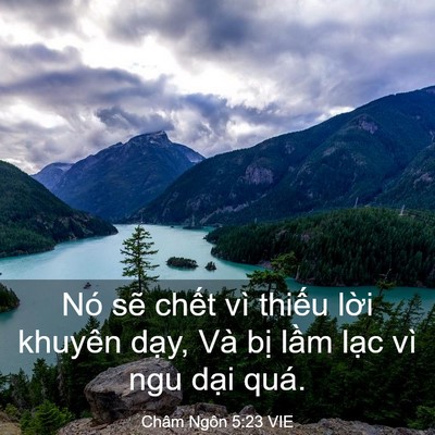 Picture 03 - Châm Ngôn 5:23 VIE - Nó sẽ chết vì thiếu lời khuyên dạy, - Bible Verse Picture
