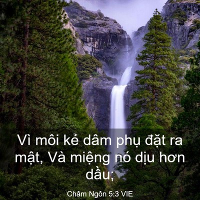 Picture 03 - Châm Ngôn 5:3 VIE - Vì môi kẻ dâm phụ đặt ra mật, Và - Bible Verse Picture