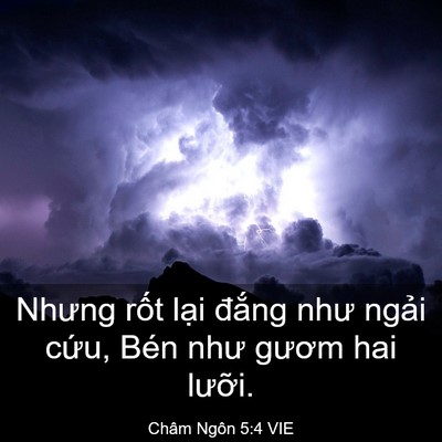 Picture 03 - Châm Ngôn 5:4 VIE - Nhưng rốt lại đắng như ngải cứu, - Bible Verse Picture