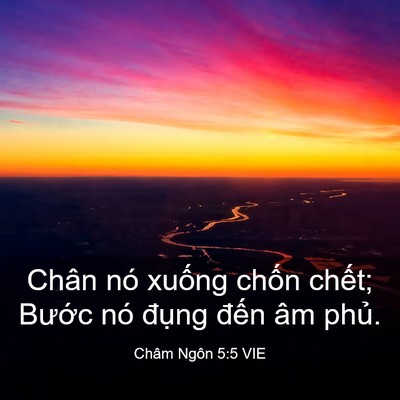 Picture 03 - Châm Ngôn 5:5 VIE - Chân nó xuống chốn chết; Bước nó - Bible Verse Picture
