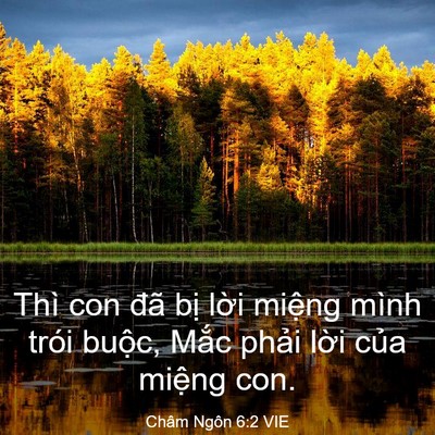 Picture 03 - Châm Ngôn 6:2 VIE - Thì con đã bị lời miệng mình trói - Bible Verse Picture