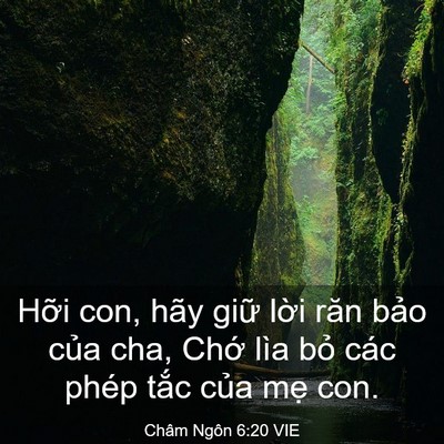 Picture 03 - Châm Ngôn 6:20 VIE - Hỡi con, hãy giữ lời răn bảo của cha, - Bible Verse Picture