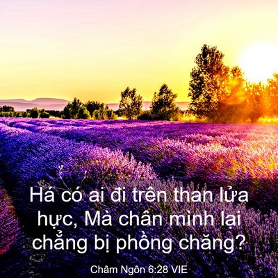 Picture 03 - Châm Ngôn 6:28 VIE - Há có ai đi trên than lửa hực, Mà chân - Bible Verse Picture