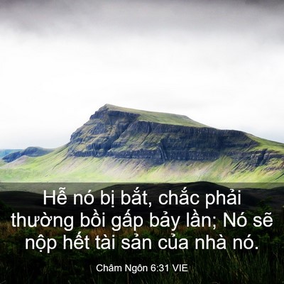 Picture 03 - Châm Ngôn 6:31 VIE - Hễ nó bị bắt, chắc phải thường - Bible Verse Picture