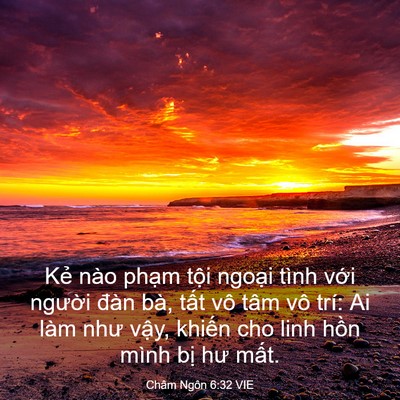 Picture 03 - Châm Ngôn 6:32 VIE - Kẻ nào phạm tội ngoại tình với - Bible Verse Picture