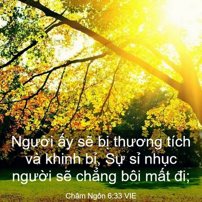 Picture 03 - Châm Ngôn 6:33 VIE - Người ấy sẽ bị thương tích và khinh - Bible Verse Picture