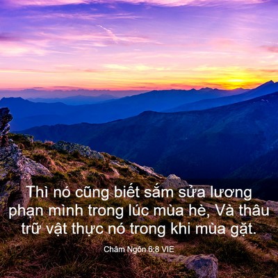 Picture 03 - Châm Ngôn 6:8 VIE - Thì nó cũng biết sắm sửa lương phạn - Bible Verse Picture