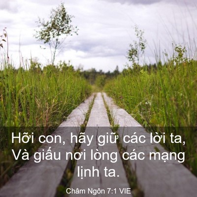 Picture 03 - Châm Ngôn 7:1 VIE - Hỡi con, hãy giữ các lời ta, Và giấu - Bible Verse Picture