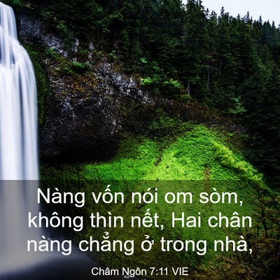 Picture 03 - Châm Ngôn 7:11 VIE - Nàng vốn nói om sòm, không thìn nết, Hai - Bible Verse Picture