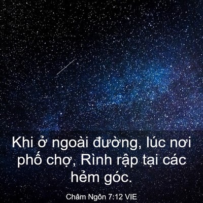 Picture 03 - Châm Ngôn 7:12 VIE - Khi ở ngoài đường, lúc nơi phố chợ, - Bible Verse Picture