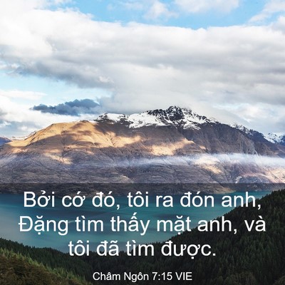 Picture 03 - Châm Ngôn 7:15 VIE - Bởi cớ đó, tôi ra đón anh, Đặng tìm - Bible Verse Picture