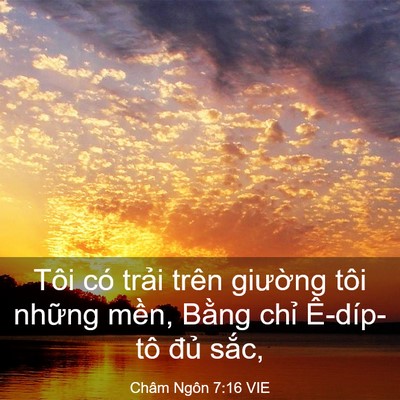 Picture 03 - Châm Ngôn 7:16 VIE - Tôi có trải trên giường tôi những - Bible Verse Picture