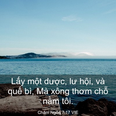 Picture 03 - Châm Ngôn 7:17 VIE - Lấy một dược, lư hội, và quế bì, - Bible Verse Picture